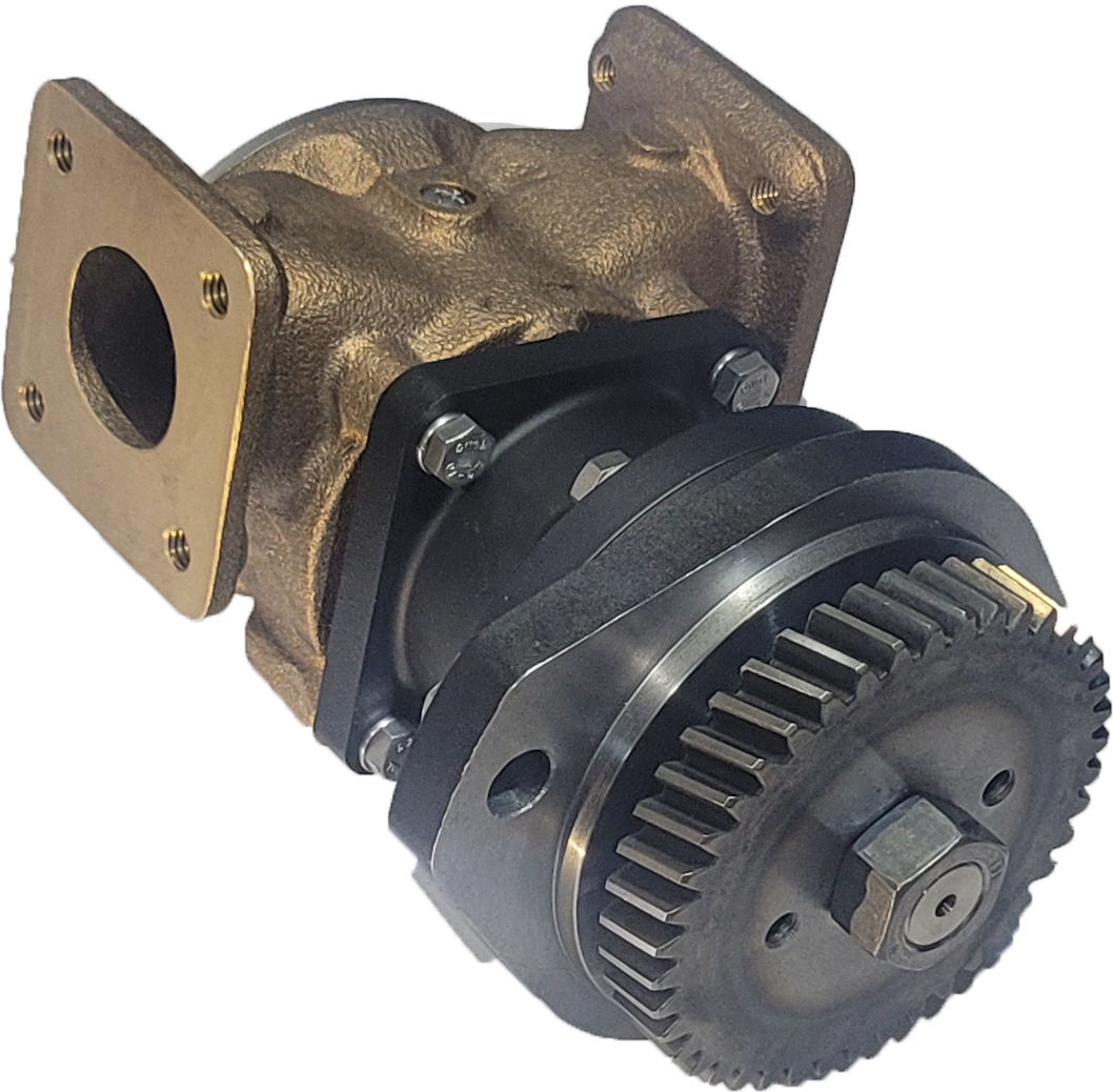 Deniz suyu pompası flexible impeller pump