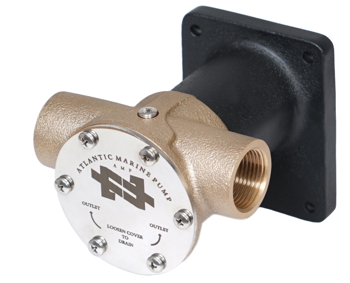 Deniz suyu pompası flexible impeller pump