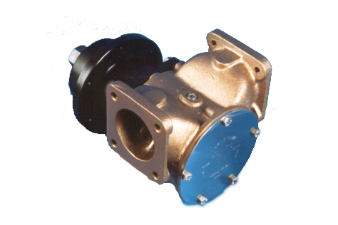 Deniz suyu pompası flexible impeller pump