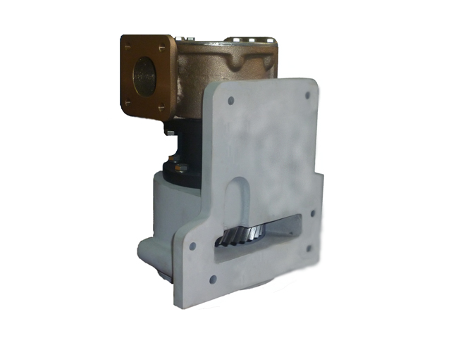 Deniz suyu pompası flexible impeller pump